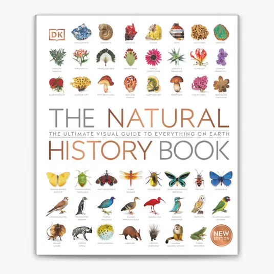 Couverture du livre The Natural History Book présentant des illustrations de minéraux, plantes et animaux.