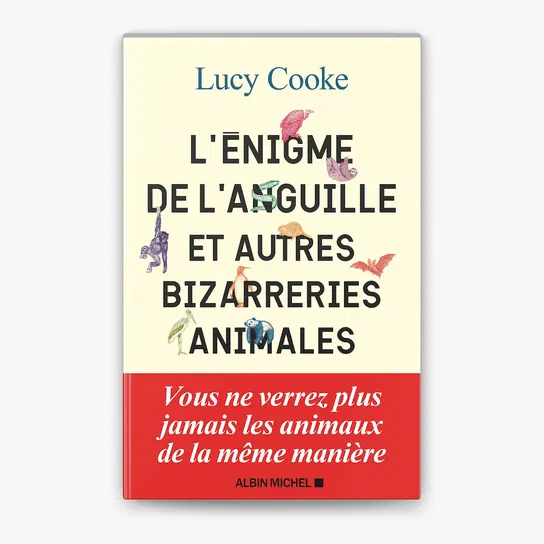 Couverture du livre L'Enigme de l'Anguille et autres bizarreries animales par Lucy Cooke
