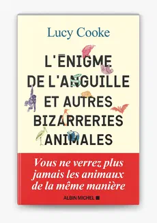Couverture de L'Enigme de l'anguille