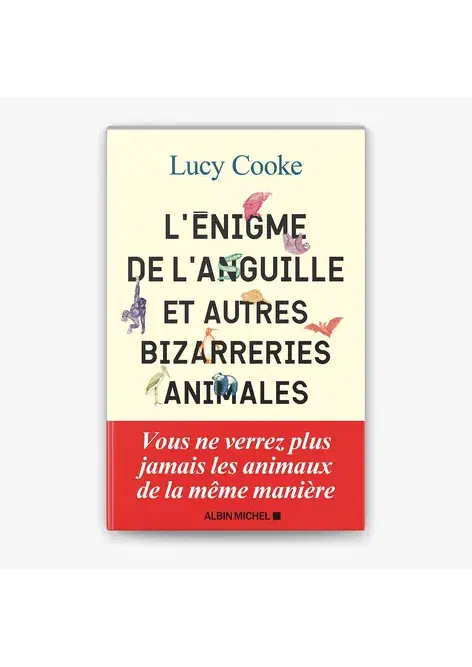 Couverture de L'Enigme de l'anguille