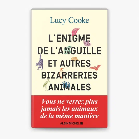 Couverture du livre L'Enigme de l'Anguille et autres bizarreries animales par Lucy Cooke