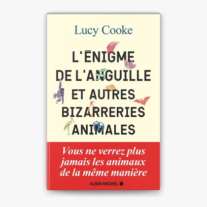 Couverture de L'Enigme de l'anguille