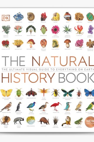 Couverture de The Natural History Book